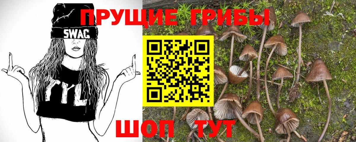 Псилоцибиновые грибы мухоморы Ковров