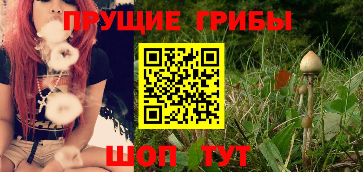 Псилоцибиновые грибы Magic Shrooms  Вход с VPN  Ковров 